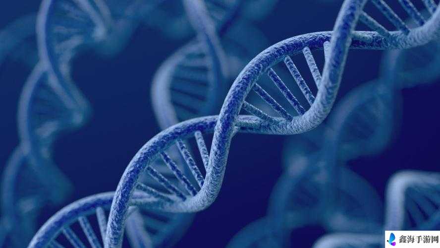 母亲的 DNA 和儿子的 DNA 是一样的吗：探索亲子基因的奥秘