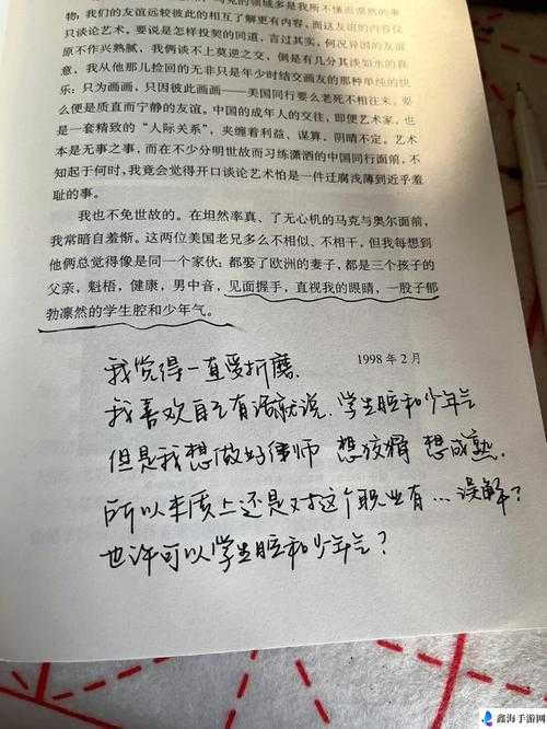 乐乐的日记：一个少年的成长与困惑