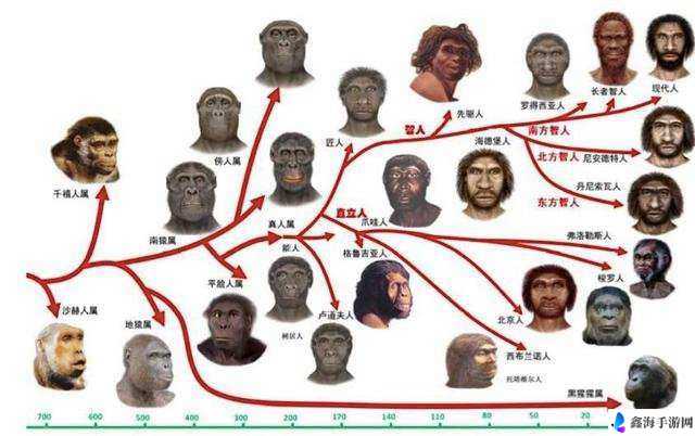 黑人的性能与哪些因素有关：种族、基因还是环境？