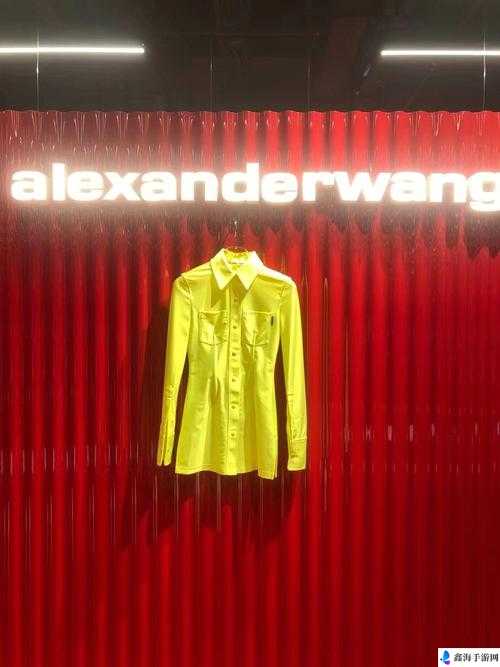 ALEXANDERWANG 妈妈评测：打造时尚新标杆