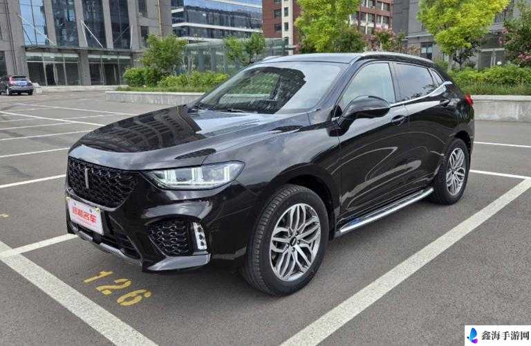 WEY VV5 国产 SUV 品质之选