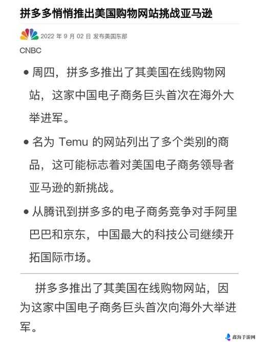 2023 年，亚马逊欧洲站电商巨头如何应对挑战