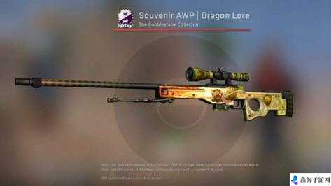 日本 csgo 大姐姐 awp 多少钱：贵不贵