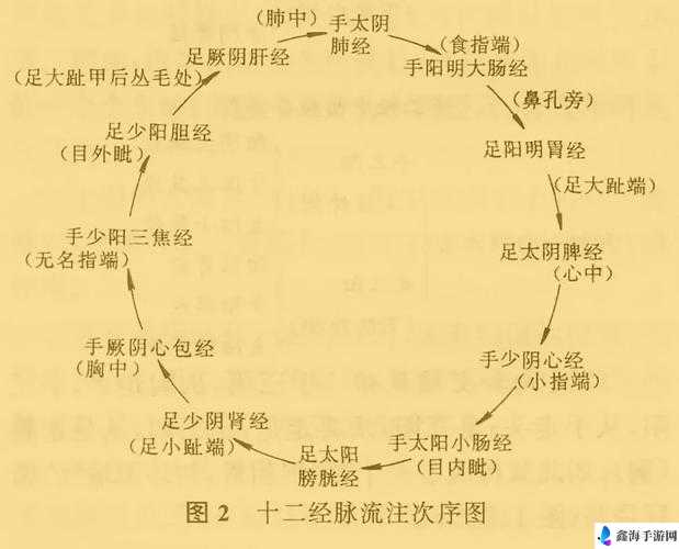 真气不足的经脉突破解决策略分享