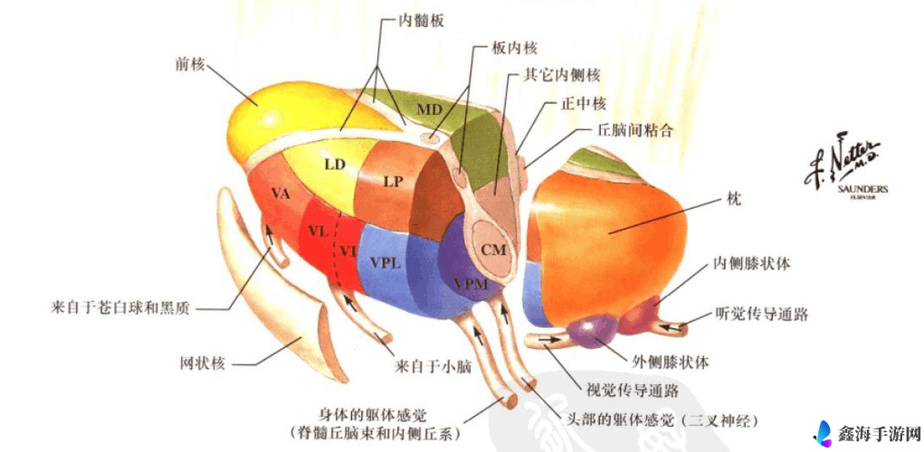 脑叶公司存档位置全知晓：游戏存档存放路径详细解析