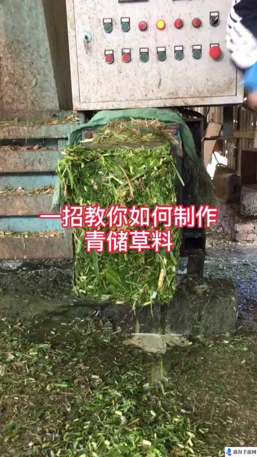 模拟农场 22 草料怎么做？这里有草料制造方法分享