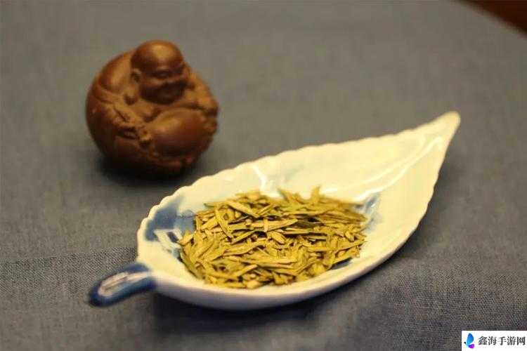 本茶纲目之普陀佛茶究竟如何 普陀佛茶精美立绘图鉴